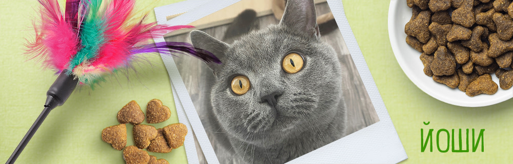 Йоши - zooplus Super Mario геймър