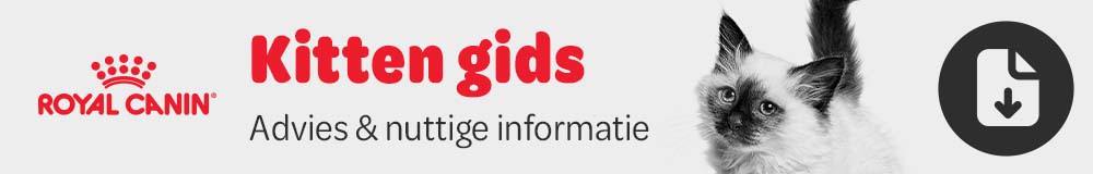Kitten gids - Advies & nuttige informatie