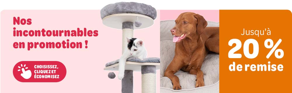 Promotion best-sellers : accessoires pour chiens et chats en réduction. Offre “L’amour continue” avec vos produits favoris à prix promo pour gâter votre compagnon.