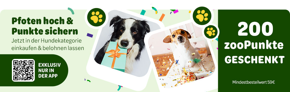 Pfoten hoch & Punkte sichern Exklusiv nur in der App, 200 zooPunkte geschenkt. Mindestbestellwert 59€