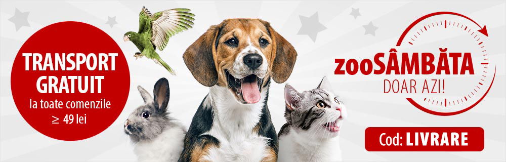 E zooSÂMBĂTA azi! Descoperă surpriza de azi!