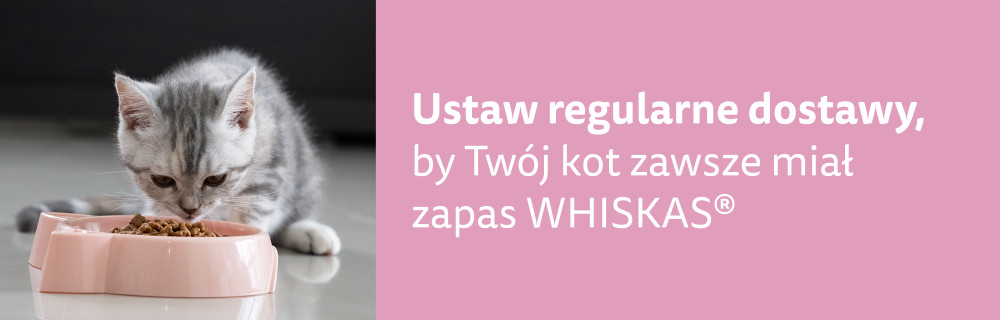 Ustaw regularne dostawy, by Twój kot zawsze miał zapas WHISKAS