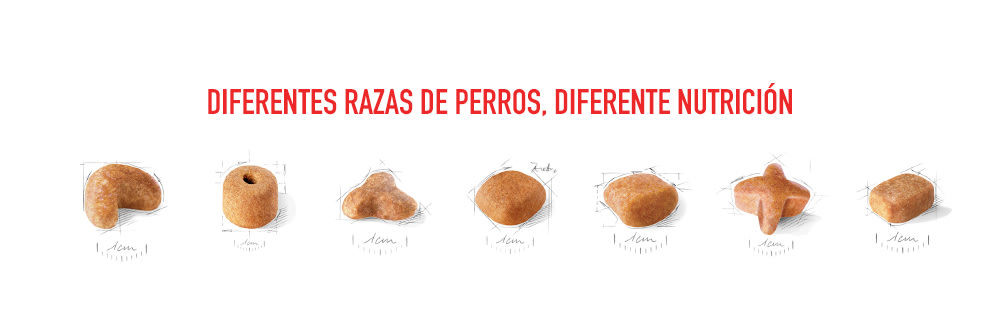 Pienso Royal Canin Breed