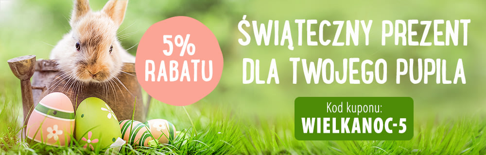 Świąteczne oferty