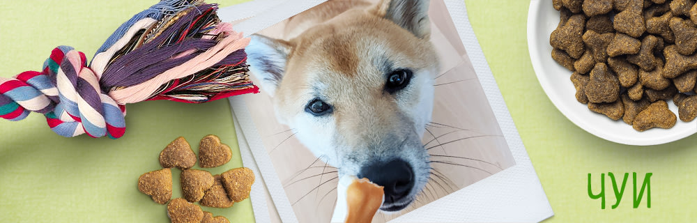 Чуи