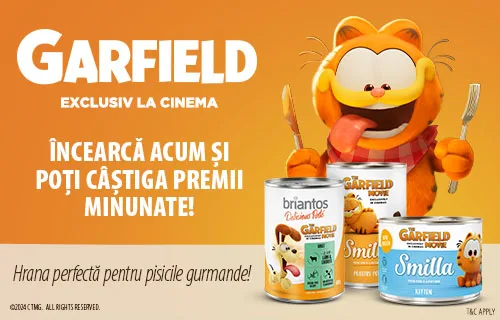 Garfield the Movie - Cumpără ediții speciale și participă la concurs