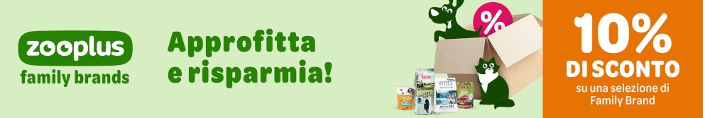 IT Loyalty coupon 10 % off