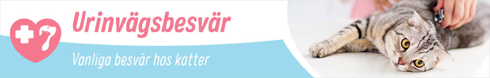 Allmänna hälsoproblem