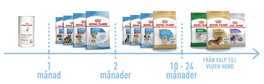 Rätt mat vid alla åldrar