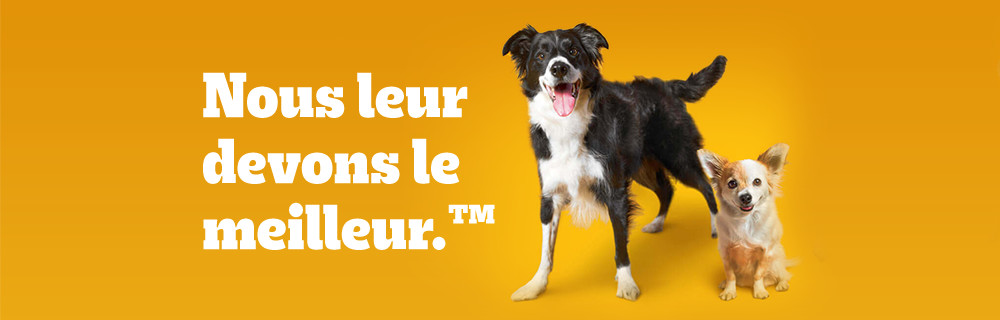 La philosophie PEDIGREE®