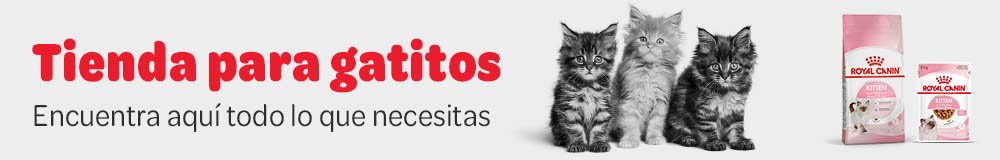 ES Kitten Shop