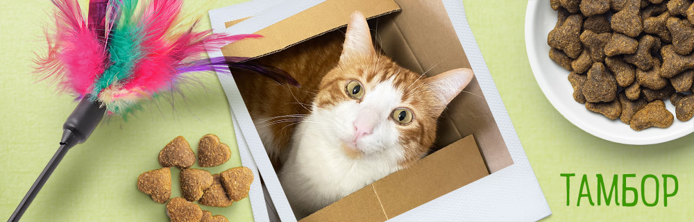 Тамбор - спец в разопаковането