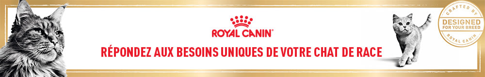 Royal Canin Breed Nourriture spécifique à chaque race de chat