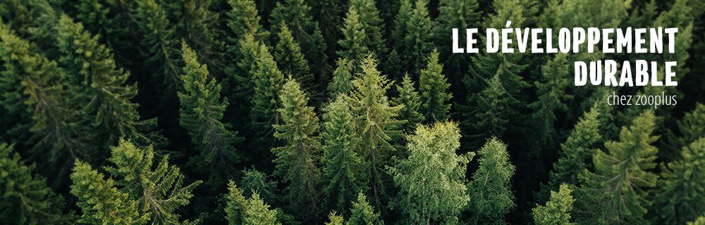 Bannière notre engagement pour la planète