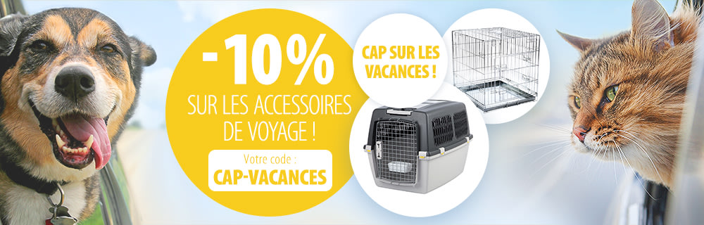 Cap sur les vacances !