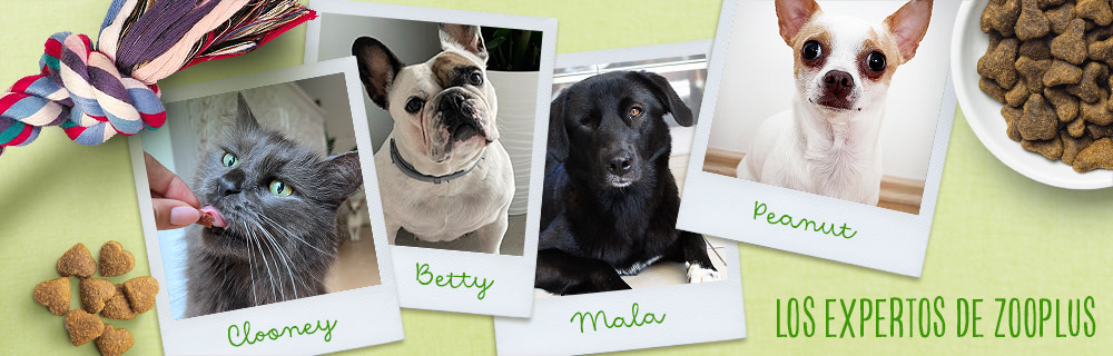 Los expertos de zooplus