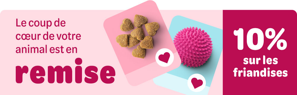 Le coup de cœur de votre animal est en remise