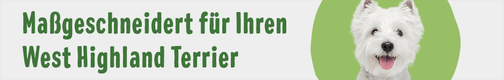 West Highland Terrier
