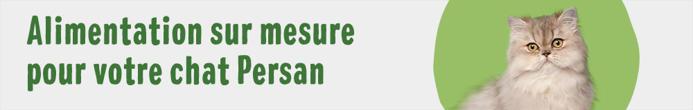 Croquettes pour Persan