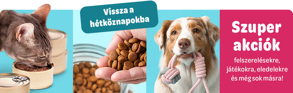Vissza a hétköznapokba - Szuper akciók felszerelésekre, játékokra, eledelekre és még sok másra!