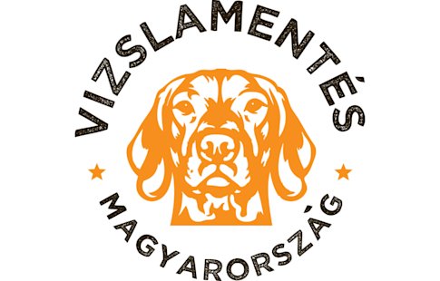 Vizslamentés