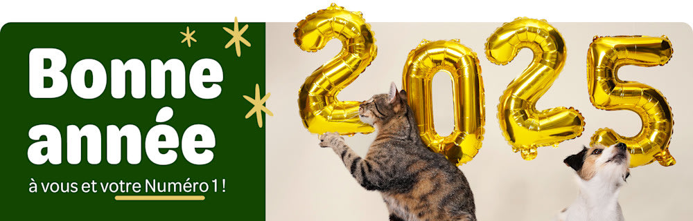 Bonne année 2025