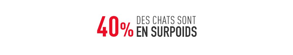 Royal Canin Veterinary Weight Management pour chat