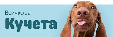 Всичко за Кучета