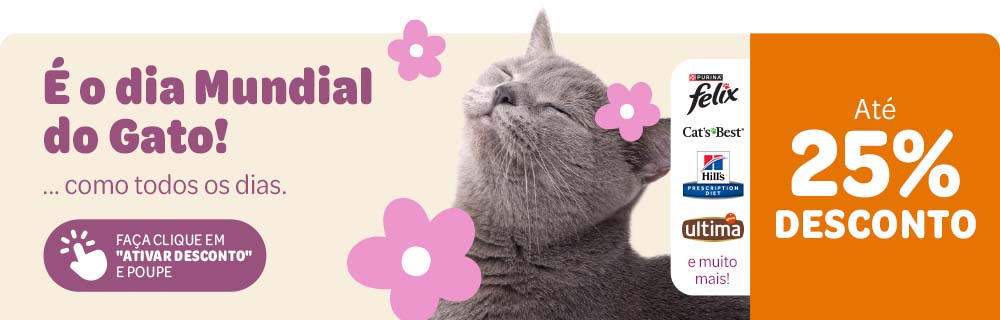É o Dia Mundial do Gato - descubra as ofertas!