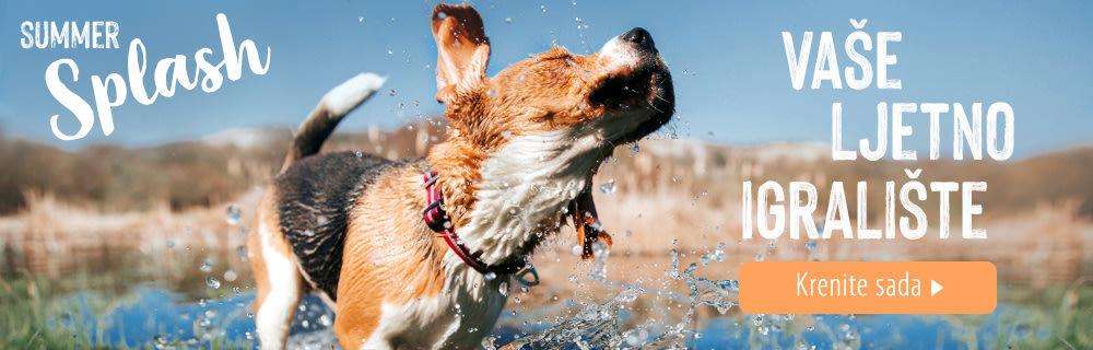 Summer splash Outdoor