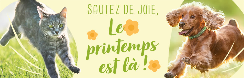 Le printemps est lĂ !