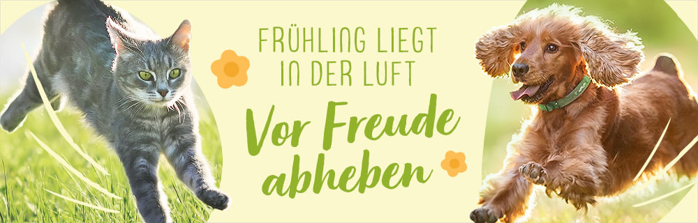 Frühling liegt in der Luft