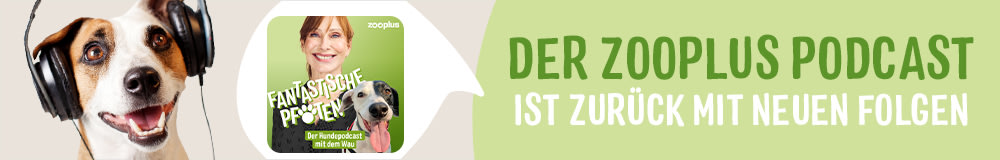 Fantastische Pfoten