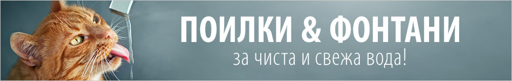 Автоматични поилки за котки