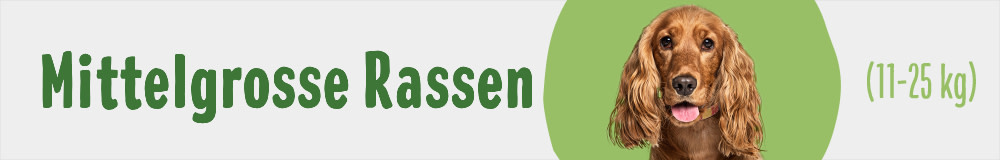 Mittelgrosse Rassen