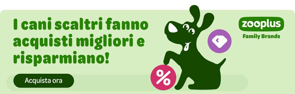 IT Your Choice OBF DOG Top Banner 1000x320