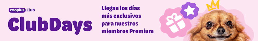 Llegan los días más exclusivos para nuestros miembros Premium