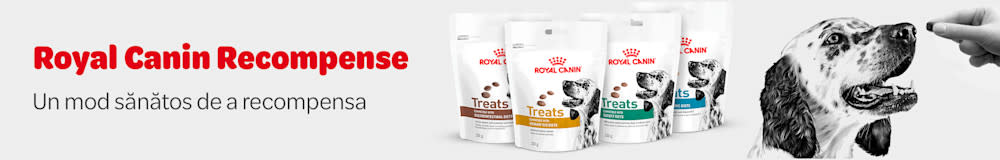 Descoperă snackurile Royal Canin!