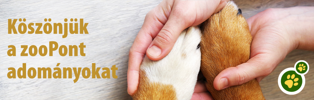 Segítség Ukrajnának