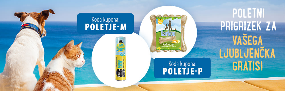 Poletni prigrizek gratis
