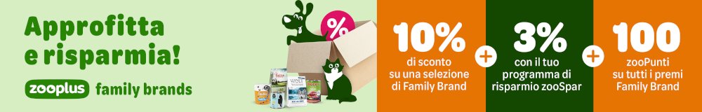 IT Loyalty coupon 10 % off + SP + 100 zP main banner