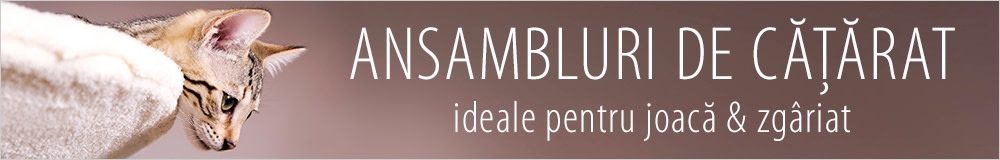 Ansambluri de cățărat pentru pisici