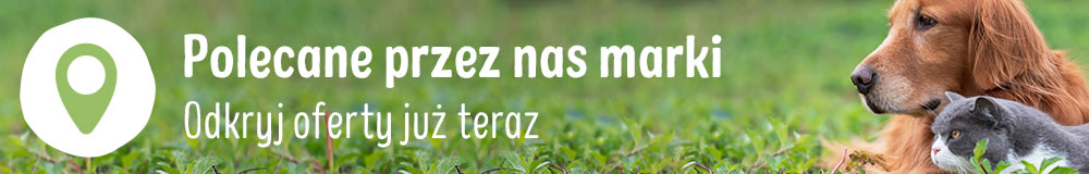 Polecane przez nas marki