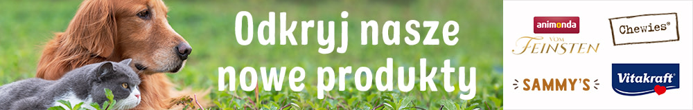 Odkryj nasze nowe produkty