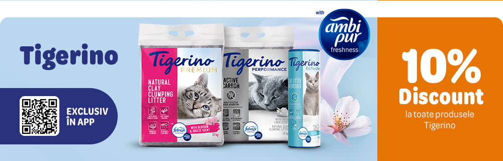 Tigerino Ambi Pur