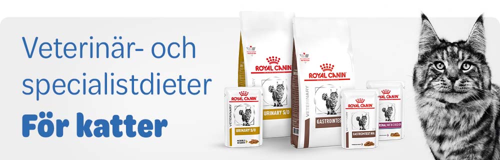 Dietfoder för katter