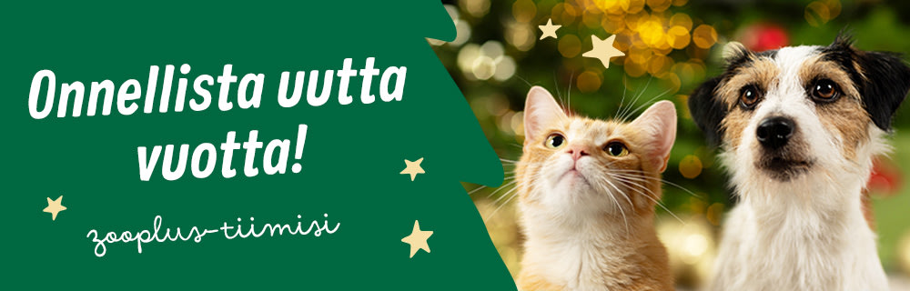 Hyvää uutta vuotta!