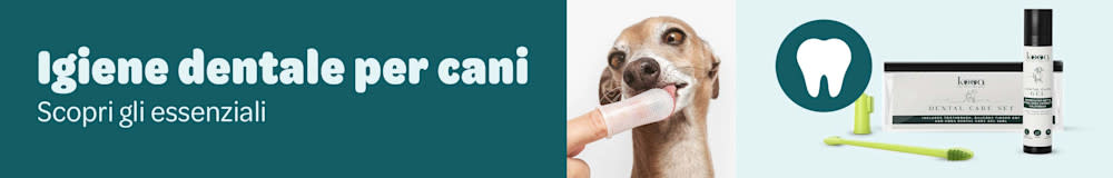 KOOA per la cura dentale del tuo cane!