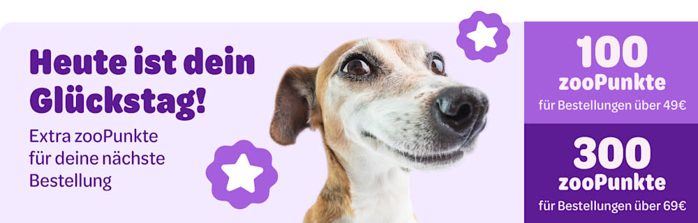 Heute ist dein Glückstag! Extra zooPunkte für deine nächste Bestellung. 100 zooPunkte für Bestellungen über 49€. 300 zooPunkte für Bestellungen über 69€
