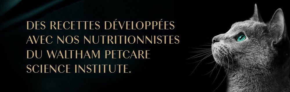 Sheba Philosophie